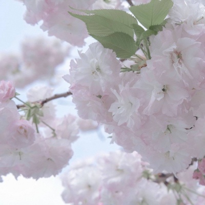 兽设场景氛围营造Furry群